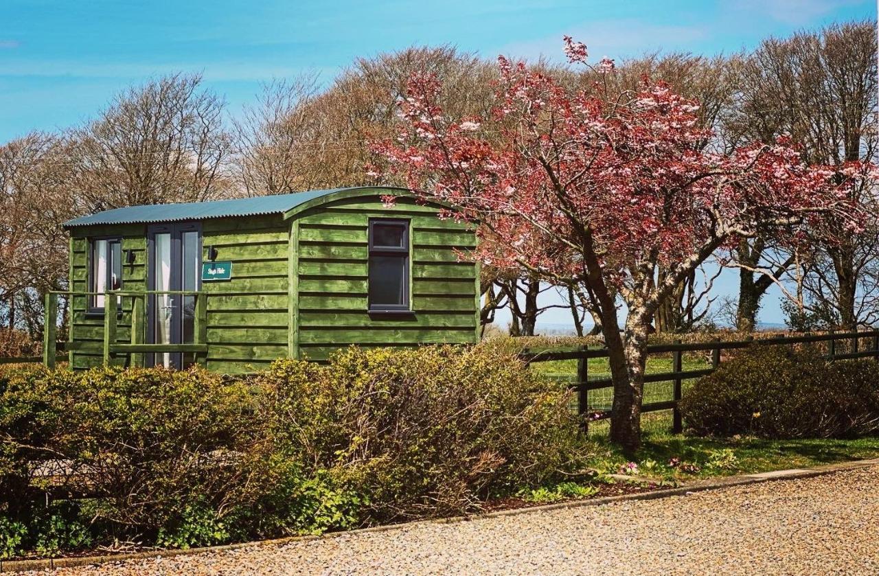 Stags Hide Minwear Exterior foto